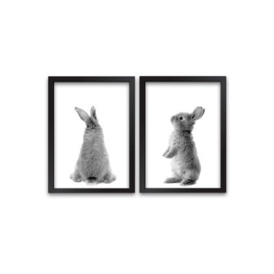 rabbit_zl_wit