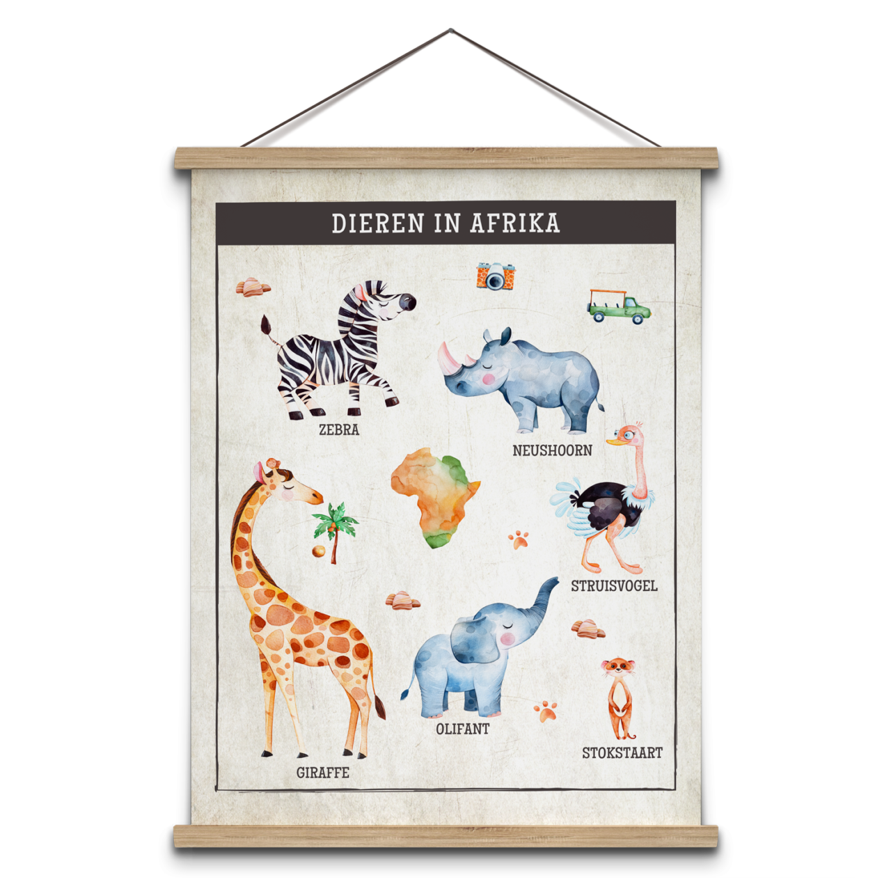 Schoolplaat dieren in Afrika, neushoorn, giraffe, struisvogel, olifant en zebra